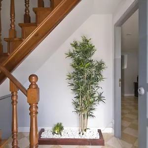 Casa Em Lisboa